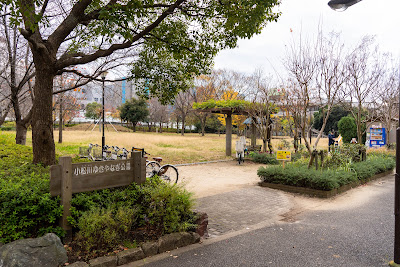고마쓰가와 조팝나무 공원 사진 5