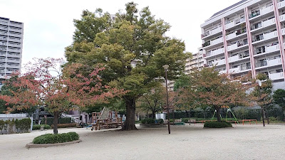 고마쓰가와민들레공원 사진 2