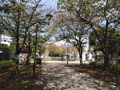 이치노에사쿠라 공원 사진 3