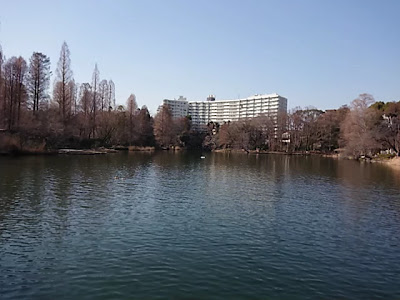 Inokashira Park Information Center 사진 2