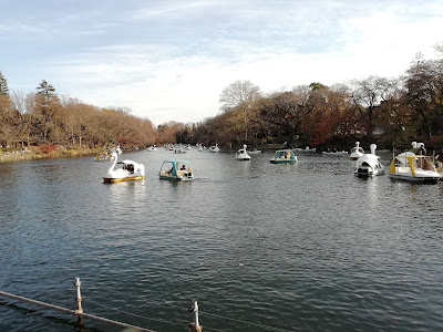 Inokashira Park Information Center 사진 4