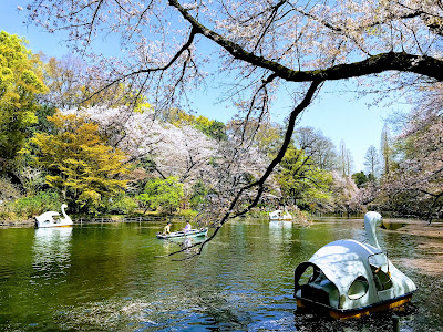 Inokashira Park Information Center 사진 5