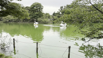 Inokashiraonshi Park 사진 2