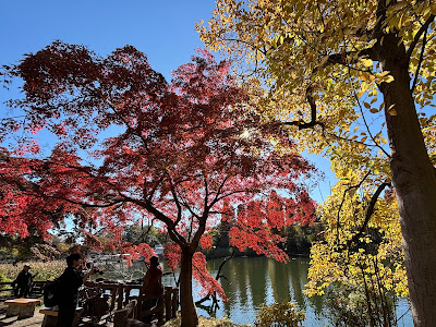 Inokashiraonshi Park 사진 3