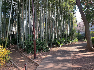 Musashino Shiritsu Kichijoji Nomori Miyamotoshoji Park 사진 3