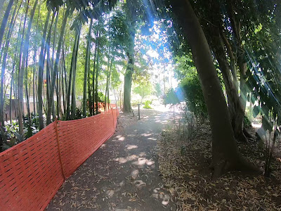 Musashino Shiritsu Kichijoji Nomori Miyamotoshoji Park 사진 2