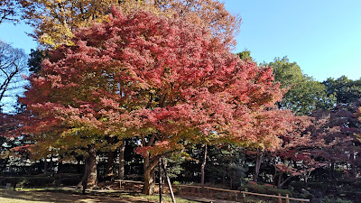 오오타구로 공원 사진 2
