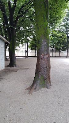 츄오 공원 사진 2