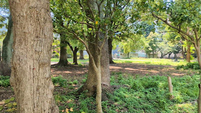 Toyama Park (Mount Hakone Area) 사진 2