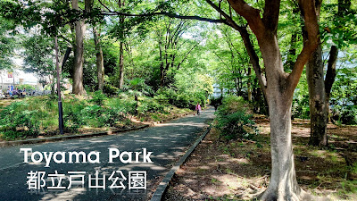 Toyama Park (Mount Hakone Area) 사진 4