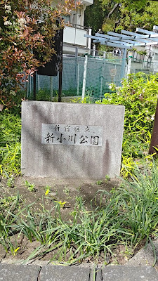 신오가와 공원 사진 2