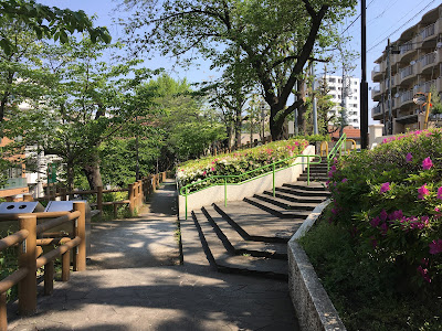 세이와 공원 사진 4