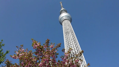 Oshinari Park 사진 2