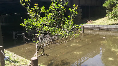 Yokogawa East Park 사진 2