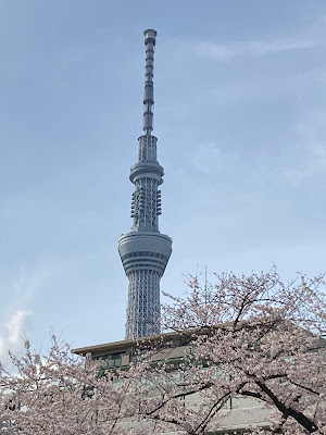 Yokogawa East Park 사진 3