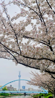 가메이도 중앙공원 사진 4