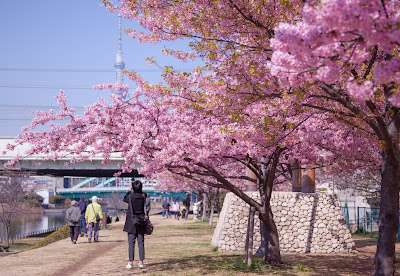 가메이도 중앙공원 사진 3