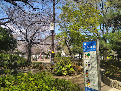 오오스기 공원 사진 2