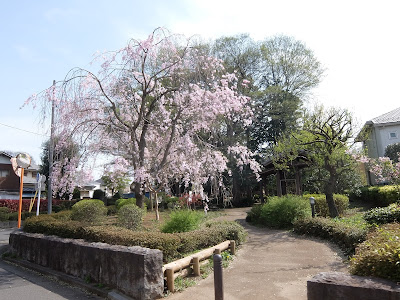 Kichijoji Kitamachi Park 사진 2