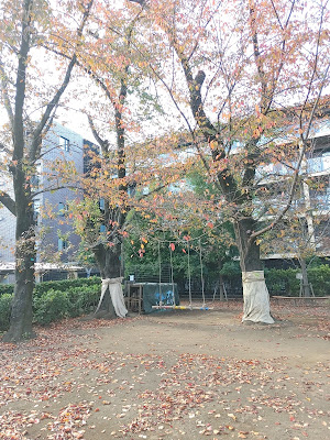 오오노다공원 사진 4
