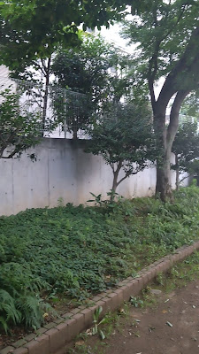 시모이구사2쵸메 공원 사진 2