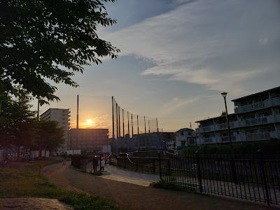시라사기 세세라기 공원 사진 4