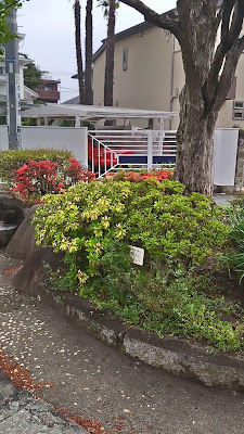 코시치야마 공원 사진 2