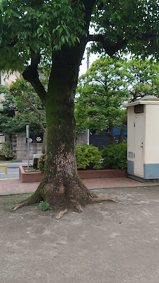 로난 공원 사진 2