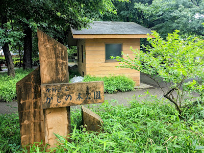카시노키 공원 사진 3