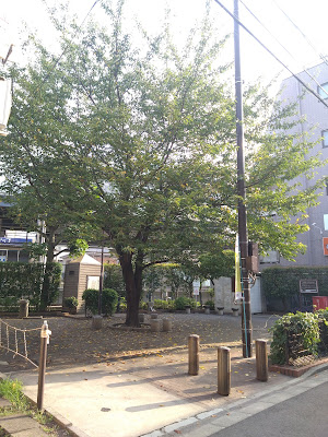 쿠루미 공원 사진 5