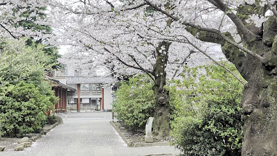 아라이야쿠시 공원 사진 2