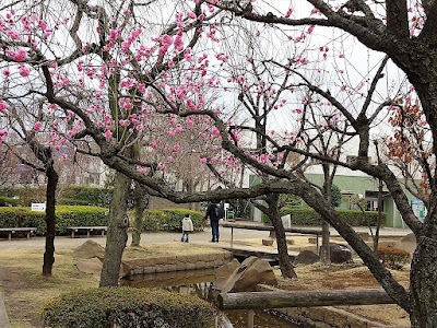 세세라기 공원 사진 3