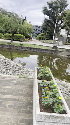 세세라기 공원 사진 2