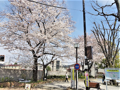 토츠카 공원 사진 4