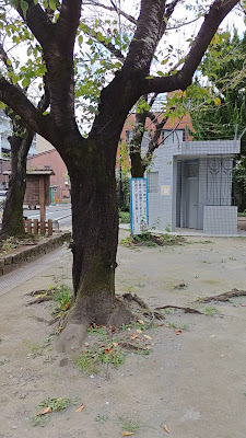 토시마 구립 야마부키노사토 공원 사진 2