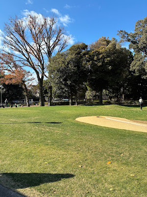 目白台運動公園 芝生広場 사진 2