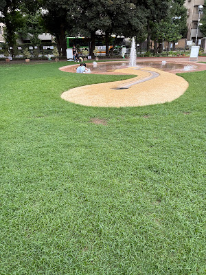 目白台運動公園 芝生広場 사진 3