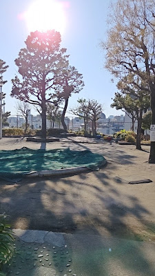코히나타 공원 사진 2