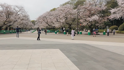 우에노 공원 사진 2