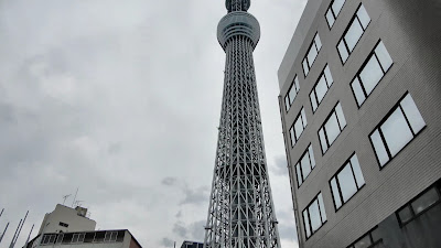 Koume Children's Park 사진 2