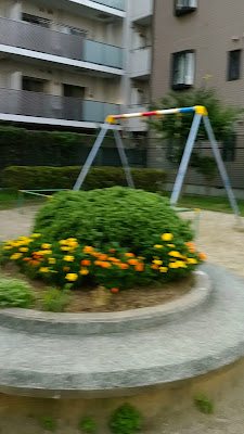 쿄지마니시 공원 사진 2