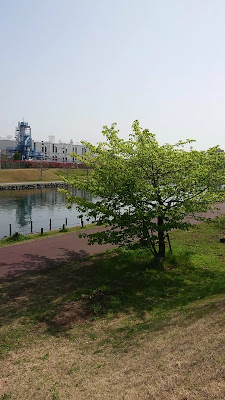 구립 타치바나 이코이 공원 사진 2