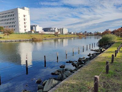 中川かわせみこども広場 사진 3