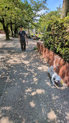 주오 삼림 공원 사진 2
