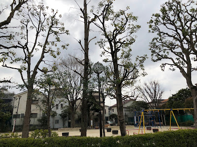 마츠모토 공원 사진 2