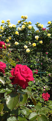Shishibonehana Park 사진 2