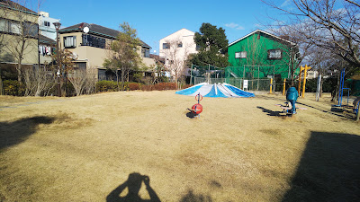 Shishiboneasagao Park 사진 3