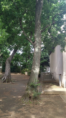 시노미야모리 공원 사진 2