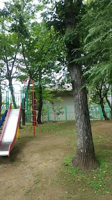 쇼우호 공원 사진 5