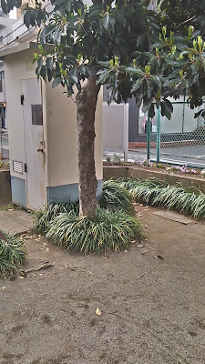 나카노 구립 미타케 공원 사진 2